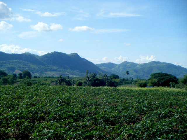 Le plateau du Korat Plateau du Korat - Thaïlande, origine du chat Maew Boran - Korat
