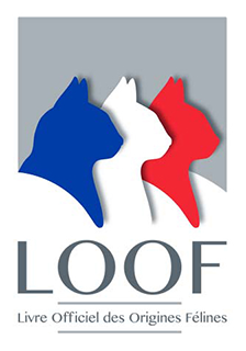 Logo du Loof Logo du Loof