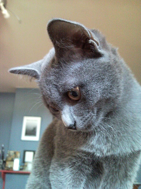 Meejai Aa Dara Isis du Korat Céleste Meejai Aa Dara Isis du Korat Céleste