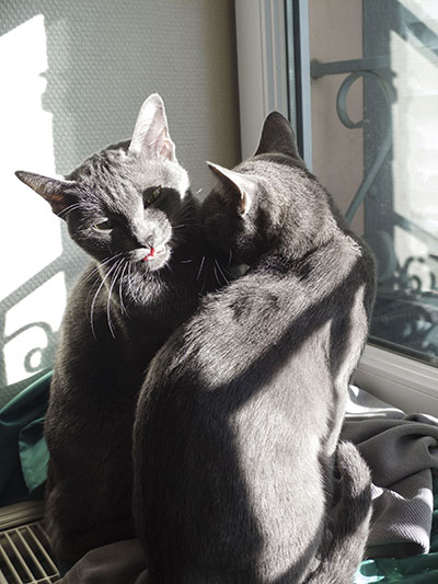 Jūza n'ha Amon-Sül du Korat Céleste Jūza n'ha Amon-Sül du Korat Céleste