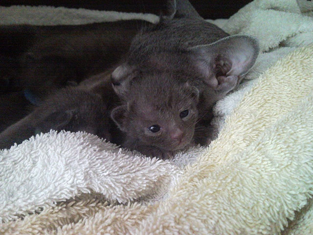 Le temps de l'exploration arrive...