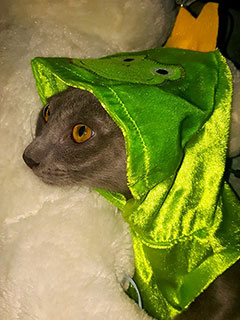 Arrakis Di Aroon Arrakis Di Aroon