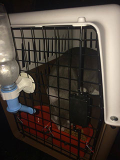 Arrakis Di Aroon Arrakis Di Aroon