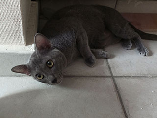 Arrakis Di Aroon Arrakis Di Aroon