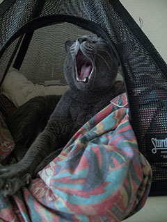 Arrakis Di Aroon Arrakis Di Aroon