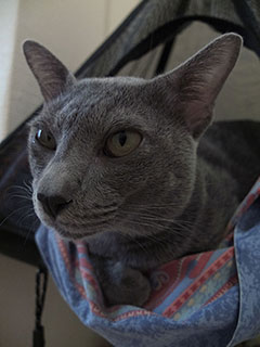 Arrakis Di Aroon Arrakis Di Aroon