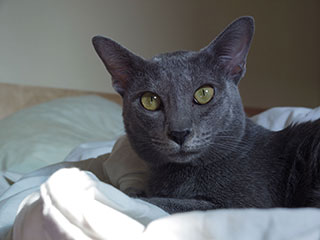 Arrakis Di Aroon Arrakis Di Aroon