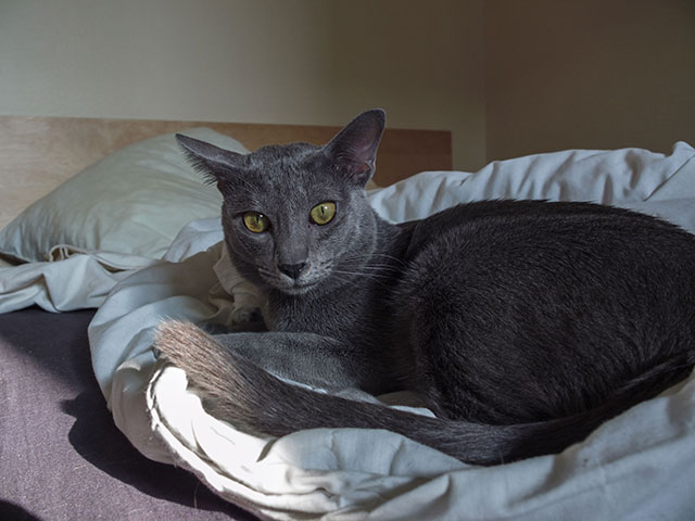 Arrakis Di Aroon Arrakis Di Aroon