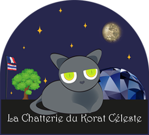 Logo chatterie - Korat blasé